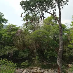 El Chorro Waterfall - Siguatepeque