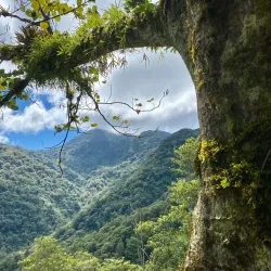 La Tigra National Park - Siguatepeque