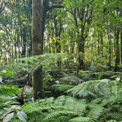 La Tigra National Park - Siguatepeque