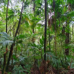 La Tigra National Park - Siguatepeque