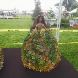 Museo de Siguatepeque - Siguatepeque