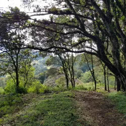 Piedra Parada - Siguatepeque