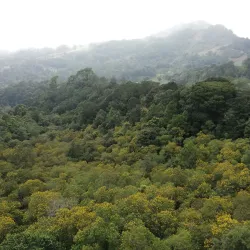 Piedra Parada - Siguatepeque