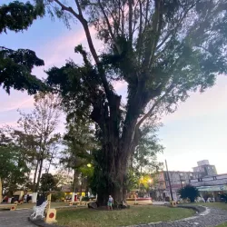 Siguatepeque Central Park - Siguatepeque