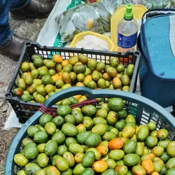 Local Artisan Markets - Talanga