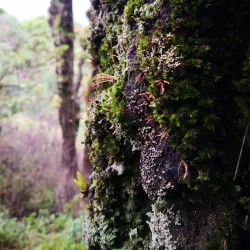 Parque Ecológico La Montañita - Talanga