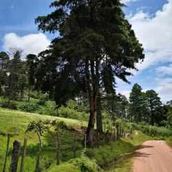 Parque Ecológico La Montañita - Talanga