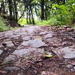 Parque Ecológico La Montañita - Talanga