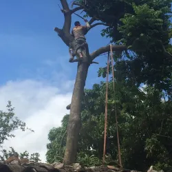 Talanga Central Park - Talanga