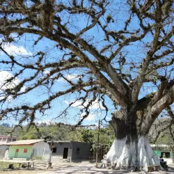 Talanga Central Park - Talanga