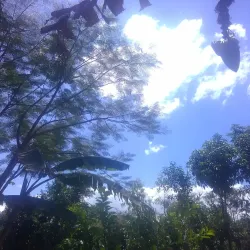 Talanga Central Park - Talanga