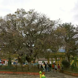 Talanga Municipal Museum - Talanga