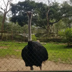 El Picacho National Park - Tegucigalpa
