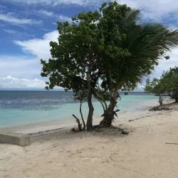 Chepes Beach - Utila