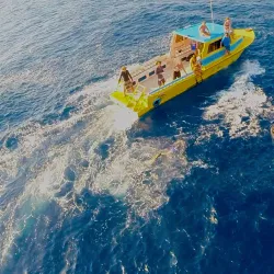 Utila Dive Centers - Utila