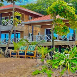 Utila Turtle Project - Utila