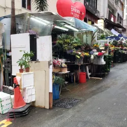 Lan Kwai Fong - Hong Kong