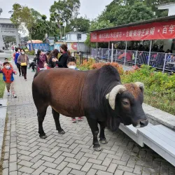Ngong Ping 360 and Tian Tan Buddha - Hong Kong