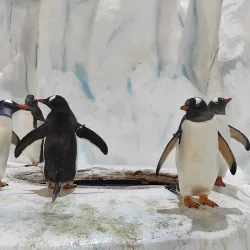 Ocean Park Hong Kong - Hong Kong