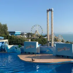 Ocean Park Hong Kong - Hong Kong