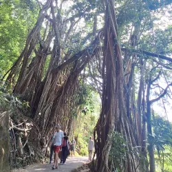 Victoria Peak - Hong Kong
