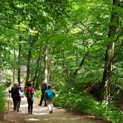 Bakony Hills Hiking Trails - Ajka