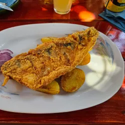 Baja Fish Soup Festival - Baja