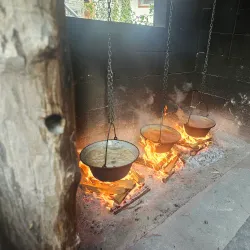Baja Fish Soup Festival - Baja