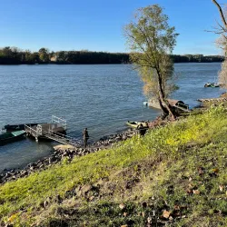 Baja Fish Soup Festival - Baja