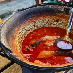 Baja Fish Soup Festival - Baja