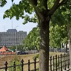 Baja Old Town - Baja