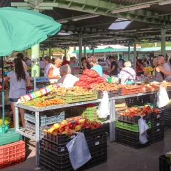 Békéscsaba Market Hall - Békéscsaba