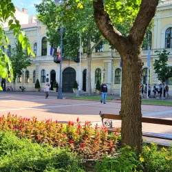 Városháza Square - Békéscsaba
