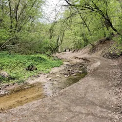 Buda Hills Hiking Trails - Budakeszi
