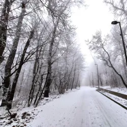 Buda Hills Hiking Trails - Budakeszi