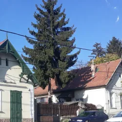 Budakeszi Town Square - Budakeszi