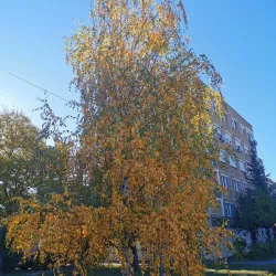 Budakeszi Town Square - Budakeszi