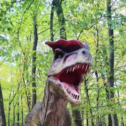 Budakeszi Wildlife Park - Budakeszi