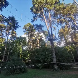 Forest Adventure Park - Budakeszi