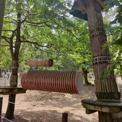 Forest Adventure Park - Budakeszi