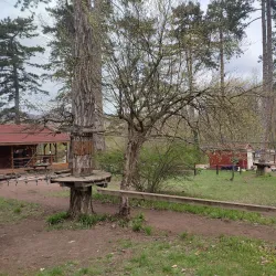 Forest Adventure Park - Budakeszi