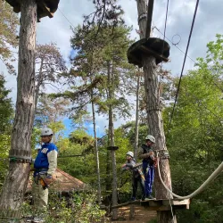 Forest Adventure Park - Budakeszi