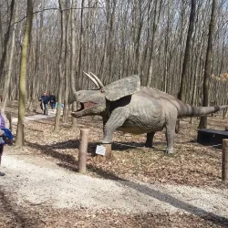 Forest Adventure Park - Budakeszi