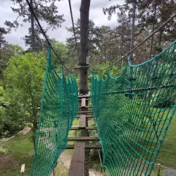Forest Adventure Park - Budakeszi