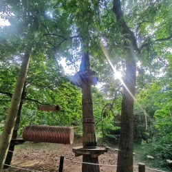 Forest Adventure Park - Budakeszi
