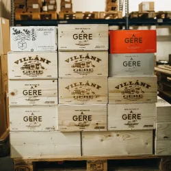 Historical Wine Cellars - Budakeszi