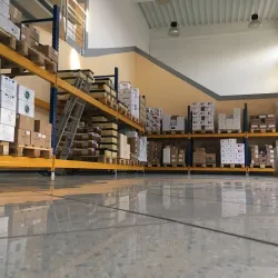 Historical Wine Cellars - Budakeszi