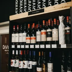 Historical Wine Cellars - Budakeszi