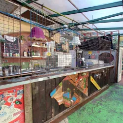 Local Farmers' Market - Budakeszi