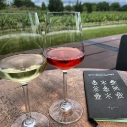 Local Vineyards and Wine Tasting - Budakeszi